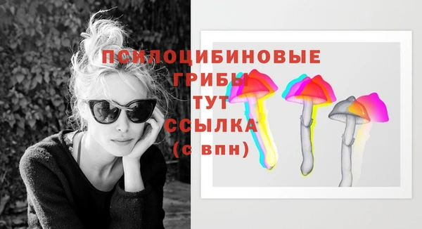 шишки Алзамай