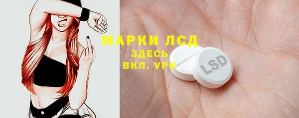 spice Аркадак