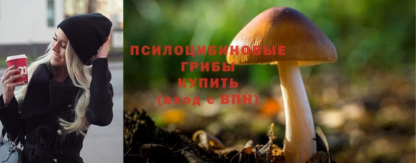 не бодяженный Арсеньев