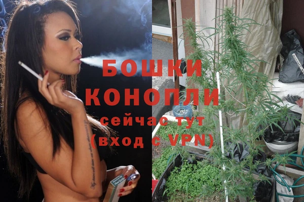 spice Аркадак
