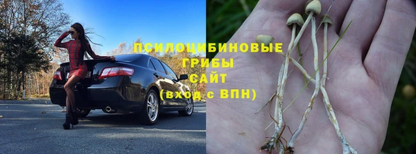 дживик Армянск
